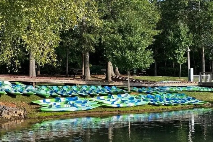 Colorful kayaks lined up on a grassy shore beside a wooded area near a lake.